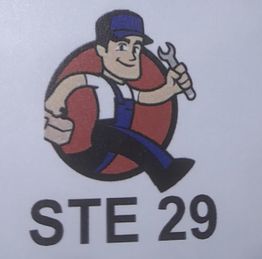 STE29