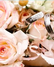 Mario Böttcher Photography Bild 2