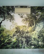 Rémy Castan Peintre en Bâtiment image 8