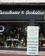 Succulentes & Orchidees image 15