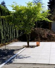 Scheuner Gartenbau AG Bild 2