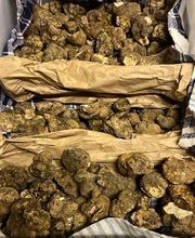 Pizzeria Restaurant d'Octodure Bild 14