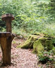 FriedWald Michelstadt im Odenwald Bild 17