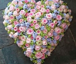 Blumen Kaiser, Michael Kaiser Bild 12