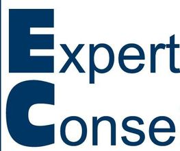 NF Expertise Conseil image 2