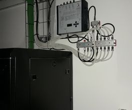 Elec Lopez image 7