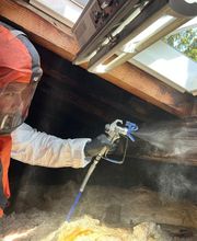 NGAN Marne - Entreprise Anti-Nuisibles image 2