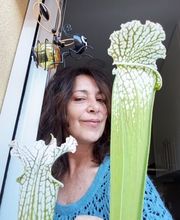 304278062-1-825PQn0nsk1778691172185.jpeg