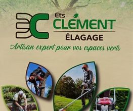 Elagage Clément image 3