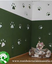 RESIDENCIA CANINA SORIA imagen 12
