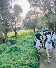 Cerdanya Eqüestre imagen 14