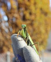 BIOCAVE Marc Güntert Bild 5
