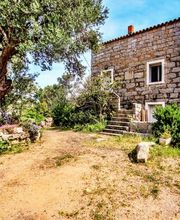 U Paesu Immobilier / Les maisons de San Ciprianu image 10