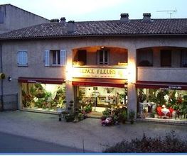 Fayence Fleurs image 1