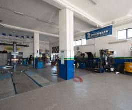 Euromaster Tecnopneus immagine 9