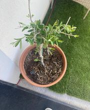 Psychothérapie Aubagne Sébastien Lacoffe Psy-chotheracoach image 5