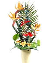 Fleuriste la Roseraie Nice Bild 9