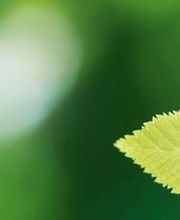 deine-hausdruckerei.de | Bader Druck GmbH Bild 9