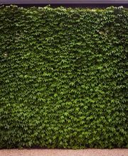 SULA Gartenbau GmbH Bild 8