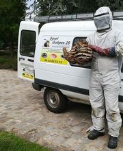 Sorel Guêpes 28 image 1