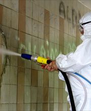 Atelier du Décapage image 4