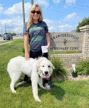 Crawfordsville Family Vet image 15
