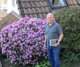 BRÜHWILER-GARTENBAU, BAUMPFLEGE Bild 7
