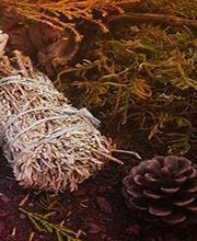 La Coupe des Fées image 1