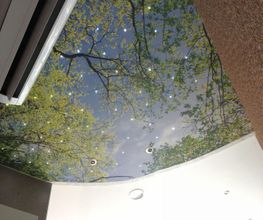 Chauvier SAS image 1