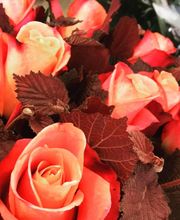 Fleuriste de la Halle Bild 12