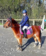 Ecurie Thomazo Club image 7