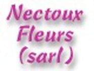Nectoux Iv