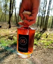 Villa Rhumista image 3