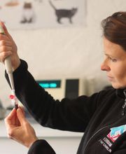 Chapelin Fanny image 2