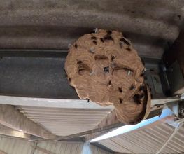 SAMS image 3