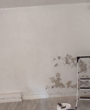 Acem Peinture image 9