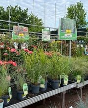 HORNBACH Gartencenter Magdeburg Bild 6