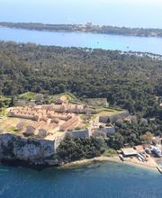 Riviera Lines image 7