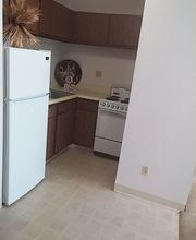 Lake Forest Apartments image 3