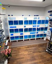 Gallery Cliente