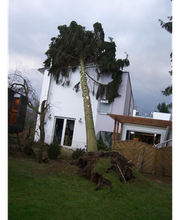 Kleine-Boymann GmbH Bild 6