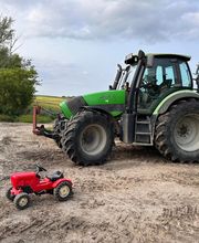 Hof Belvedere Bild 14