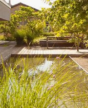 Aquilegia Im Garten Zuhause GmbH Bild 4