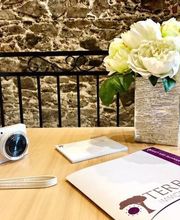 Terra Immobilier Solenzara image 5