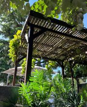 la Table des Dombes image 5