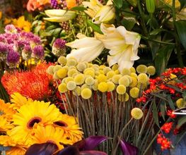 Veiling vers onze bloemen