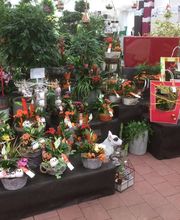 Pépinière Côté Jardin image 16