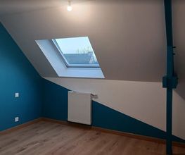 DVX Peinture image 2