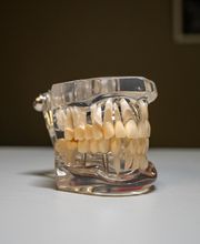 Big Sky Smiles and Sedation image 11