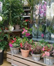 Bricomarché Saverdun image 9